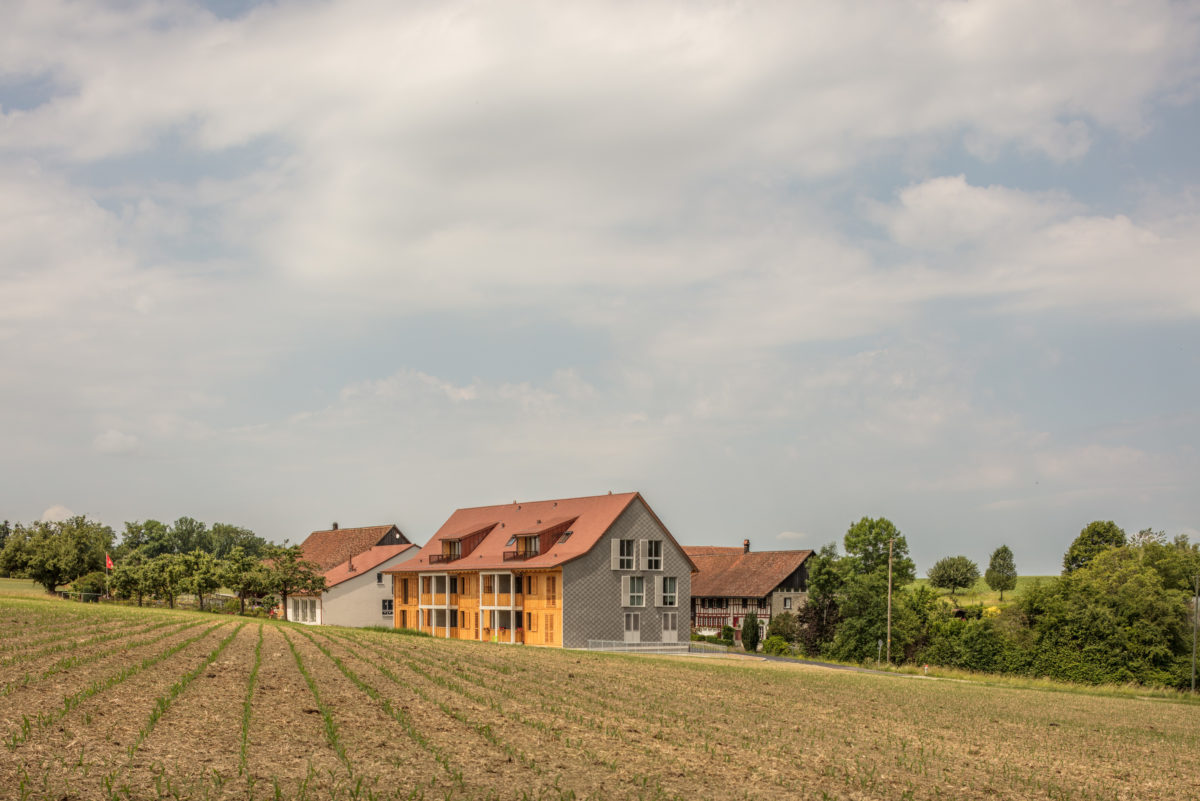 Seewadel - Neue Wohnhäuser in einem Weiler - Schmid Schaerer Architekten Zürich